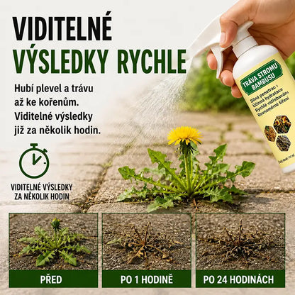 Přírodní rychle působící sprej proti plevelu a trávě